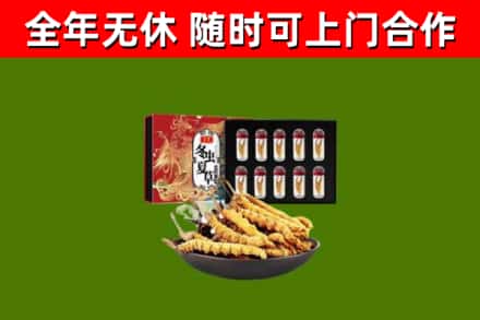 开平回收冬虫夏草价格