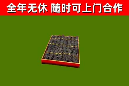开平回收海参